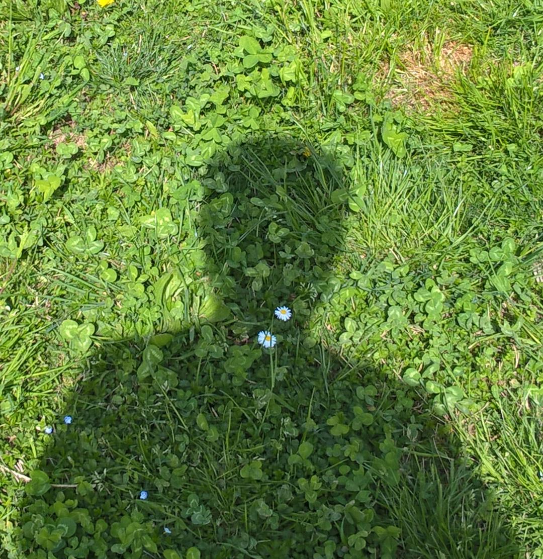 duetart Tanaka Mizokami